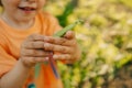 Hands of little child with green young pad peas in garden. Healthy eating, vegetables, legumes. Boy eating fresh food Royalty Free Stock Photo