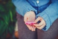 Hands of little girl holding pink petal of tulip