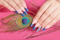 Hands with long artificial blue french manicured nails and peacock feather Royalty Free Stock Photo