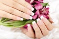 Hands with long artificial french manicured nails and lily flowers Royalty Free Stock Photo