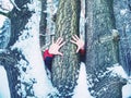 Hands with long frozen fingers touch tree bark. Male hands Royalty Free Stock Photo