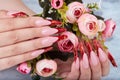 Hands with long red artificial french manicured nails holding pink rose flowers Royalty Free Stock Photo