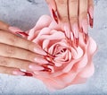 Hands with long red artificial french manicured nails and pink rose flower Royalty Free Stock Photo