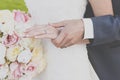 Hands in love Royalty Free Stock Photo