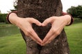 Hands making heart shape frame in front of tree Royalty Free Stock Photo