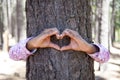 Hands making an heart shape on a trunk of a tree.