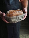 Hands of male baker holds loaf of fresh baked bread in basket Royalty Free Stock Photo