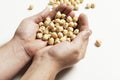 hands of a man grabbing a handful of chickpeas Royalty Free Stock Photo