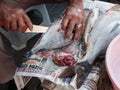 Hands of man gutting a fish at the country turkish market