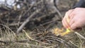 Hands of man Making a bonfire at early spring or autumn nature