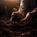 Hands of a man picking up soil from which a plant is born at sunset. Concept of mother nature. Earth Day. Generative AI Royalty Free Stock Photo