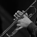 Hands of a man playing a trumpet Royalty Free Stock Photo