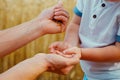 Hands of father pouring wheat grains into hands of son Royalty Free Stock Photo