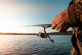 Hands of a man in a Urp plan hold a fishing rod, a fisherman catches fish at dawn. Fishing hobby vacation concept. Copy space Royalty Free Stock Photo