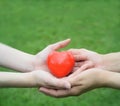 Hands of man and woman holding red heart protecting it together people, age, family, love and health care concept