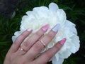 Hands manicured nails and a big flower. Nail Art Design