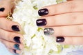 Hands with manicured nails colored with dark purple nail polish Royalty Free Stock Photo