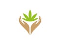 Hands and marijuana leaves with plant care for logo design