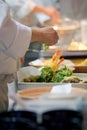 Hands of a Master Japanese Chef