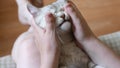 Hands of master pets a cute cat