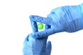 Hands in medical gloves controlling virus. Royalty Free Stock Photo