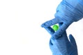Hands in medical gloves controlling virus. Covid-19 controled in cage. Royalty Free Stock Photo