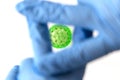 Hands in medical gloves controlling virus. Covid-19 controled in cage. Royalty Free Stock Photo