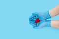 Hands in medical gloves holding a red heart isolated on a blue background. Cardiology. organ donation or healthy heart concept. Co