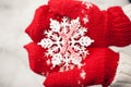 Hands in the mittens and decorative snowflake