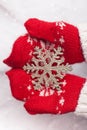 Hands in the mittens and decorative snowflake