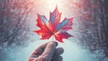 Hands in mittens holding a red maple leaf in winter forest. Christmas Concept. Royalty Free Stock Photo
