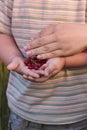 Hands of mom and child hold ripe red currant berries