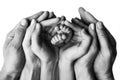 The hands of the mother, father and older child hold the feet of the newborn. Cute family portrait with baby. Royalty Free Stock Photo