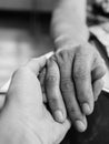 Hands of mother and son holding together in monochrome style