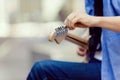 Hands of musician with guitar Royalty Free Stock Photo