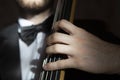 Hands of a musician playing on a contrabass closeup