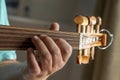 Hands of a musician playing the lute
