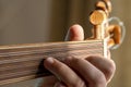 Hands of a musician playing the lute