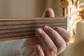 Hands of a musician playing the lute