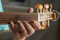 Hands of a musician playing the lute