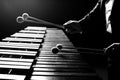 The hands of a musician playing the marimba Royalty Free Stock Photo