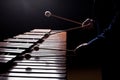 The hands of a musician playing the marimba