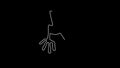 The Hands of Nazca Lines Animation