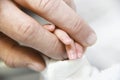 Hands of a newborn baby and adult man on a white background