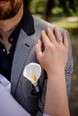 Hands Of A Newly-Married Couple With Wedding Rings Royalty Free Stock Photo