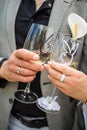 Hands Of A Newly-Married Couple With Wedding Rings Royalty Free Stock Photo