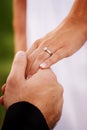 Hands of newlywed couple