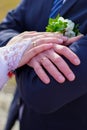 Hands newlywed. Groom and bride