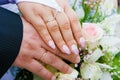 Hands of newlyweds Royalty Free Stock Photo