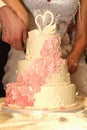 Hands of the newlyweds cut a wedding cake decorated with swans Royalty Free Stock Photo